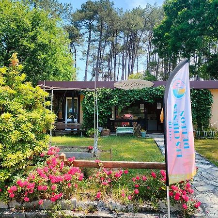 Village Vacances Les Chenes De Léon Zewnętrze zdjęcie
